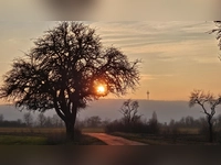 Sonnenuntergang auf der Frankenhöhe - gesehen bei Ottenhofen. (Foto: Annett Kohler)