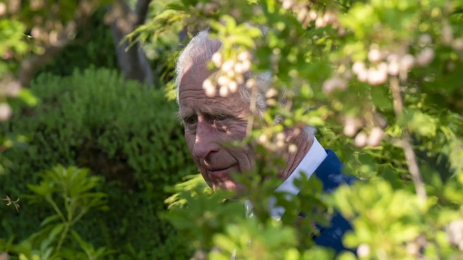 Der britische König Charles III. beim Besuch der Chelsea Flower Show in London. (Foto: Arthur Edwards/The Sun/PA Wire/dpa)