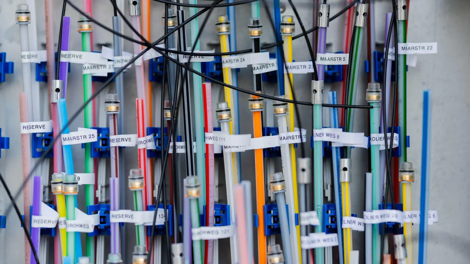 Glasfaser ermöglichen eine schnelle Datenübertragung. (Archivbild) (Foto: Rolf Vennenbernd/dpa)