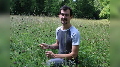 Wolfgang Endres ist seit Anfang des Jahres 2022 als Blühpaktberater bei der Regierung von Mittelfranken tätig. In einer Flachlandmähwiese im Ansbacher Hofgarten zeigt er den Großen Wiesenknopf, dessen Blüten wie Kaffeebohnen aussehen. (Foto: Kristina Schmidl)