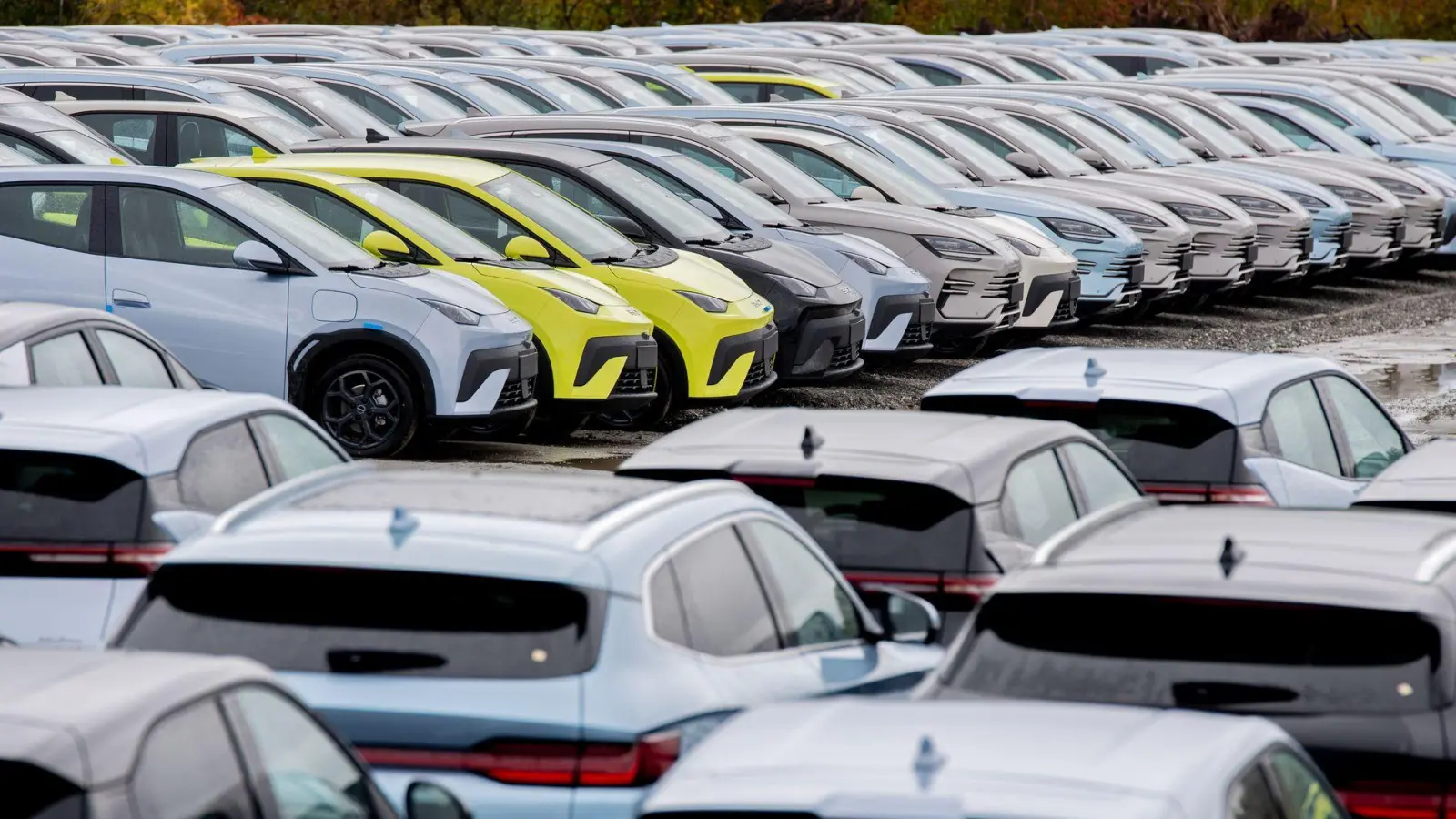 Elektroautos von BYD: Das Unternehmen stand in den ersten drei Quartalen für fast ein Viertel der chinesischen Produktion. (Archivbild) (Foto: Hauke-Christian Dittrich/dpa)
