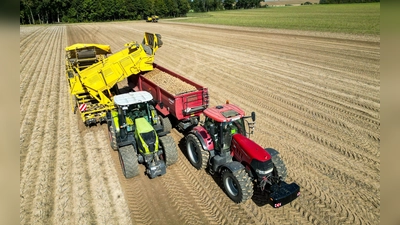 Die Kartoffelbauern haben in diesem Jahr eine sehr gute Ernte eingefahren - es sind sogar zu viele Kartoffeln, die Preise sind relativ schlecht. (Archivfoto) (Foto: Jan Woitas/dpa)
