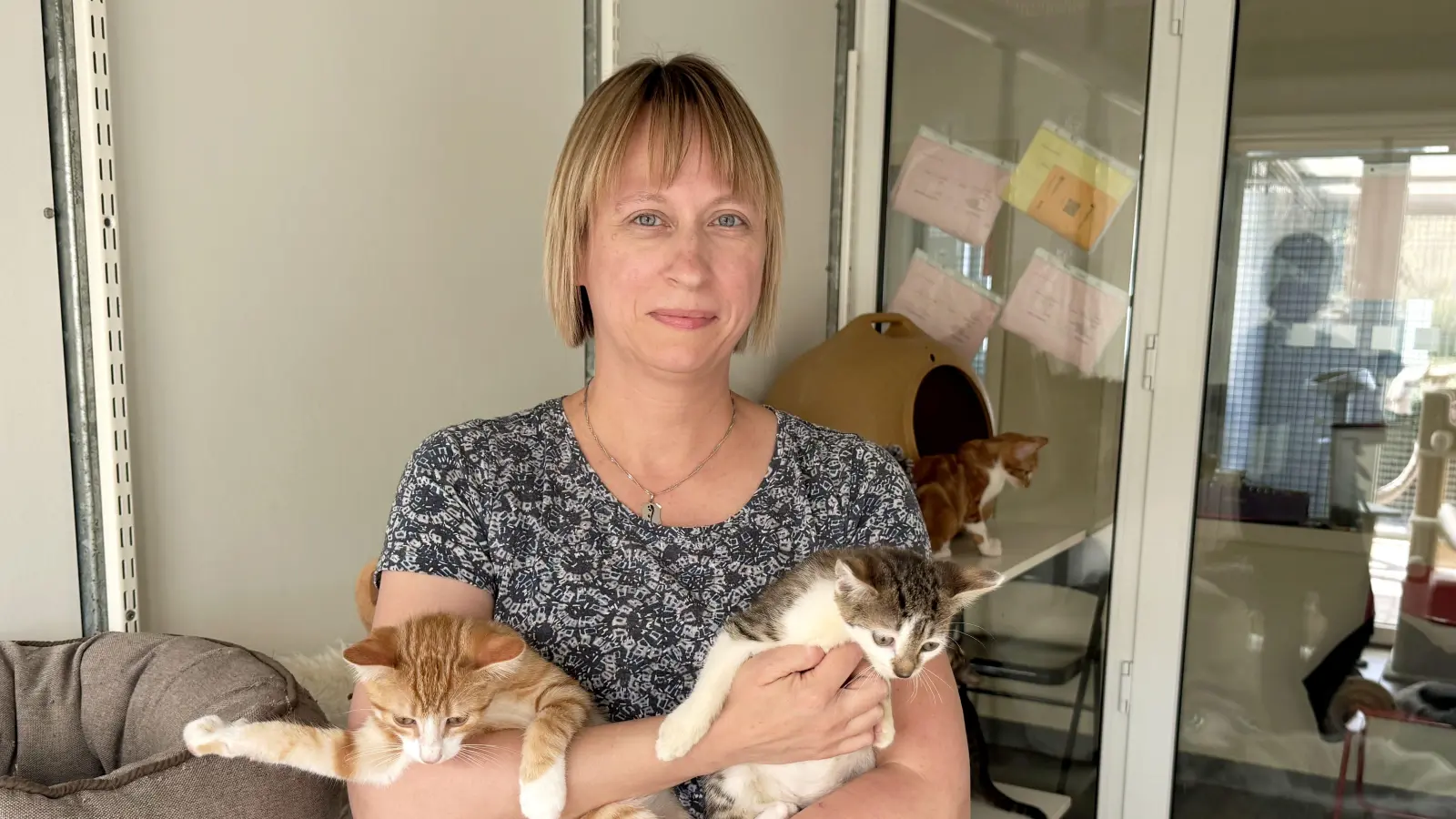 Die Vorsitzende des Tierschutzvereins Ansbach und Umgebung, Eva Lindner, posiert mit jungen Katzen im Heim. Sie unterschrieb einen Brandbrief gegen das Tierleid. (Foto: Oliver Herbst)