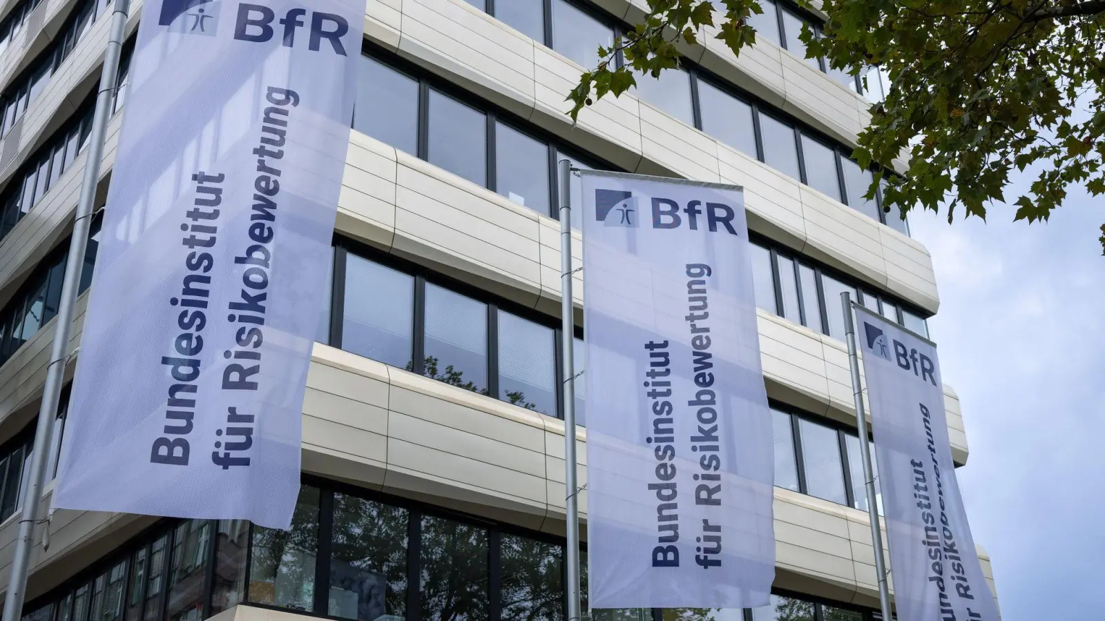 Das BfR sieht bei bestimmten Mandeldrinks ein mögliches Gesundheitsrisiko für Kinder. (Symbolbild) (Foto: Monika Skolimowska/dpa)