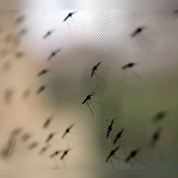Auch in Bayern ist Flughafen-Malaria möglich, wenn auch unwahrscheinlich. (Symbolbild) (Foto: Stephen Morrison/epa/dpa)