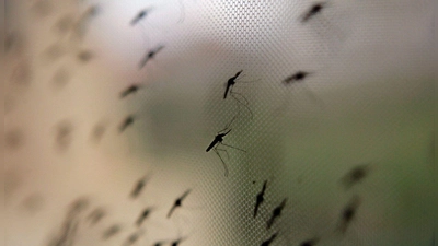 Auch in Bayern ist Flughafen-Malaria möglich, wenn auch unwahrscheinlich. (Symbolbild) (Foto: Stephen Morrison/epa/dpa)