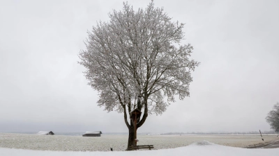 In Teilen Bayerns rieselte an Heiligabend Schnee herunter. (Foto: Peter Kneffel/dpa)