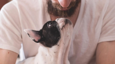 Die Beziehung zwischen Mensch und Hund wird am Welthundetag gefeiert. (Foto: Pixabay)