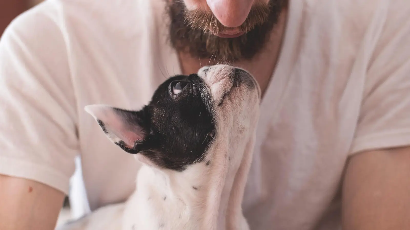 Die Beziehung zwischen Mensch und Hund wird am Welthundetag gefeiert. (Foto: Pixabay)