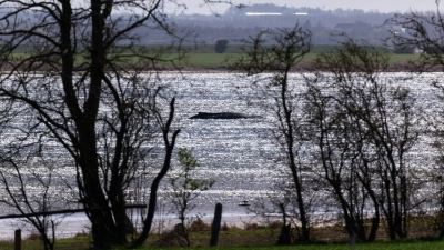 Jetzt soll auch die Wasserqualität geprüft werden. (Foto: Marcus Golejewski/dpa)