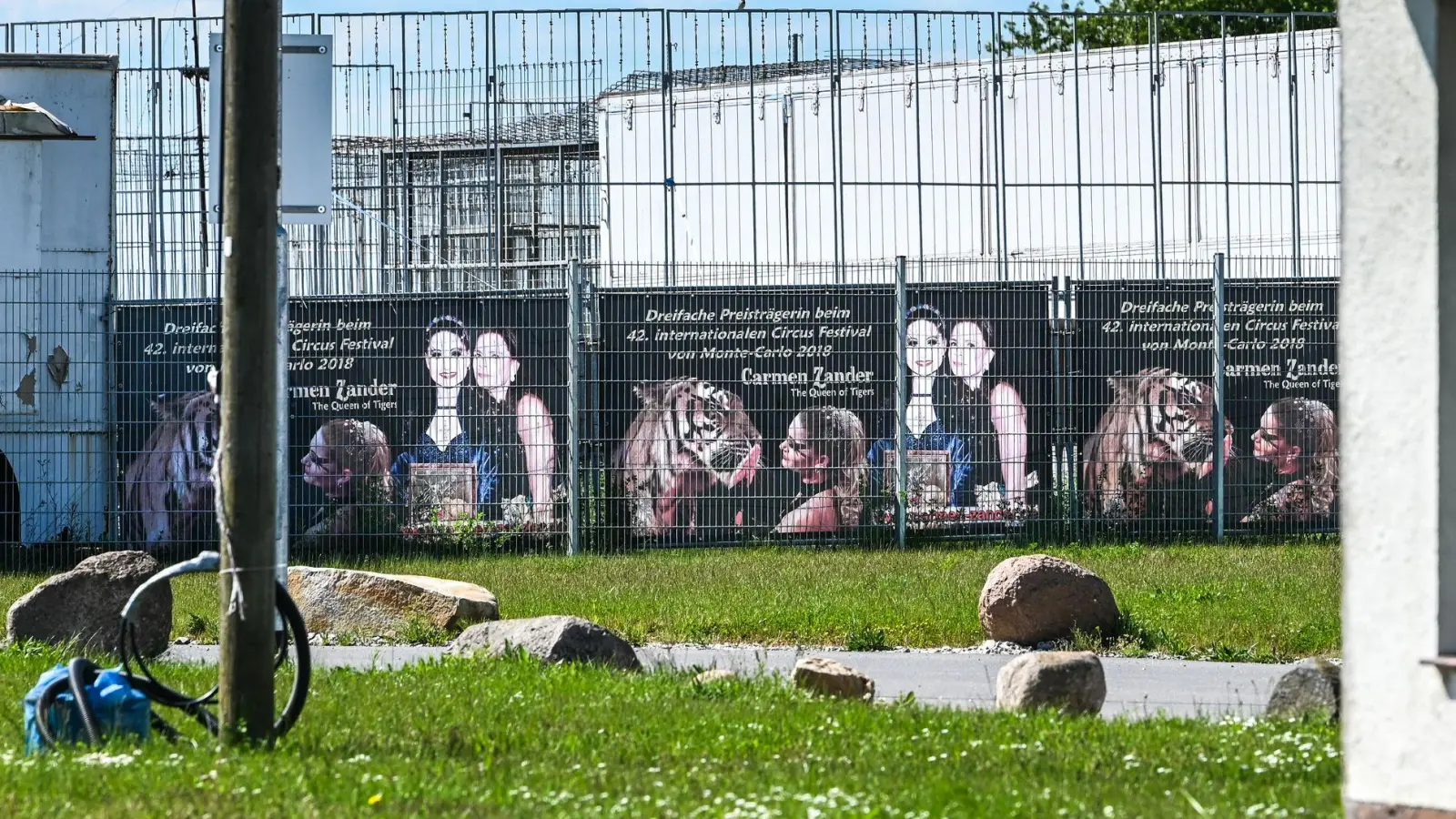 Das Tigergehege genügt laut Behörden nicht den Anforderungen. (Archivbild) (Foto: Heiko Rebsch/dpa)