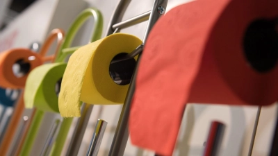 Nur Toilettenpapier sollte auch in der Toilette landen. (Foto: Andrea Warnecke/dpa-tmn)