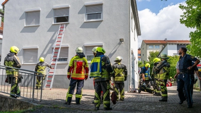 Per Leiter und über ein offenes Fenster gelangte die Feuerwehr an den Ort des Geschehens. (Foto: Mirko Fryska)