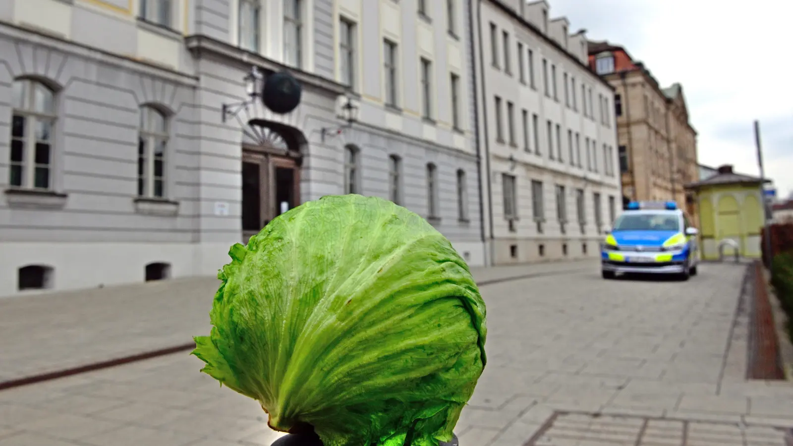 Vor dem Amtsgericht ging es diesmal um einen handfesten Streit zwischen zwei Frauen. Auslöser für den nicht nur verbal geführten Disput war tatsächlich ein Salatkopf. (Foto: Alina Boger)