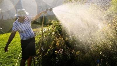 Besser Grauwasser nutzen: Wer seine Pflanzen im Garten gießt, verbraucht sonst im Sommer viel Trinkwasser. (Foto: Julian Stratenschulte/dpa)