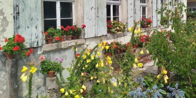 Im Frühjahr kann man wieder für viel Leben im Grünen sorgen. Der Garten von Kurt Maag in Herrieden etwa ist ein Musterbeispiel für liebevolle und bienenfreundliche Gestaltung. (Foto: Christian Treffer)