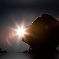 Im Herbst und Winter können wir kaum bis gar kein Vitamin D über die Sonne in der Haut bilden. Aber muss man dann extra welches nehmen? Nicht unbedingt, so Experten. (Foto: Friso Gentsch/dpa)