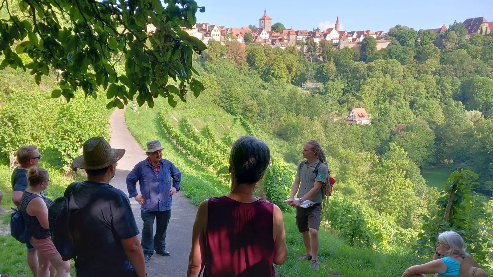 Naturpark-Ranger Benjamin Krauthahn (rechts) und Winzer Albert Thürauf mit den Teilnehmern der Wanderung am Weinberg unterhalb von Rothenburg. (Foto: Till Scholl)