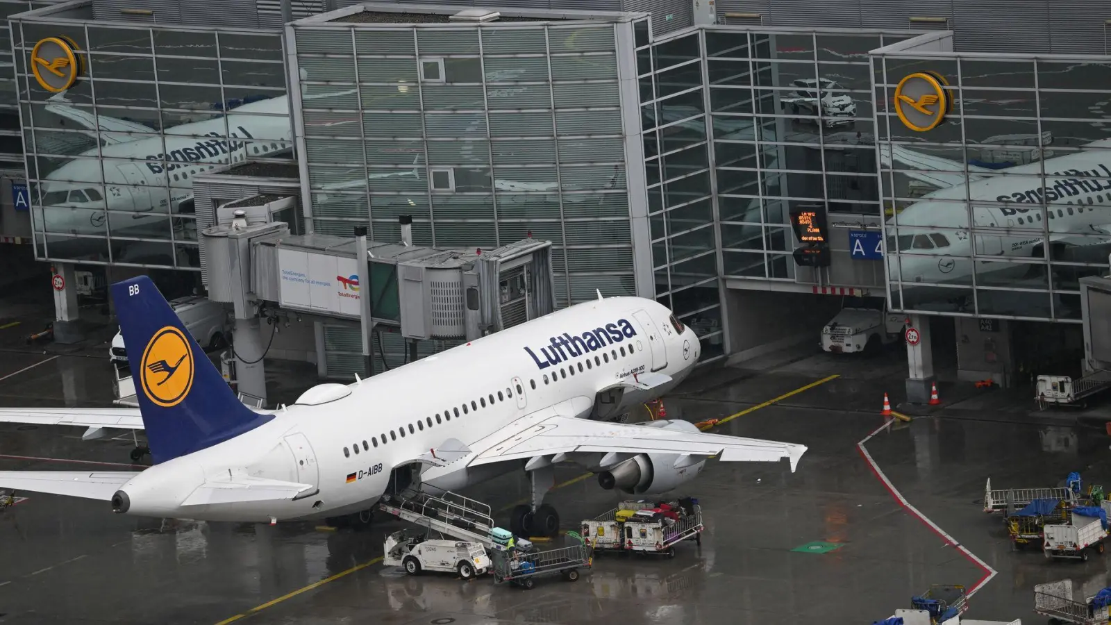 Ab Donnerstag fliegt Lufthansa auch wieder nach Israel. (Archivbild) (Foto: Arne Dedert/dpa)