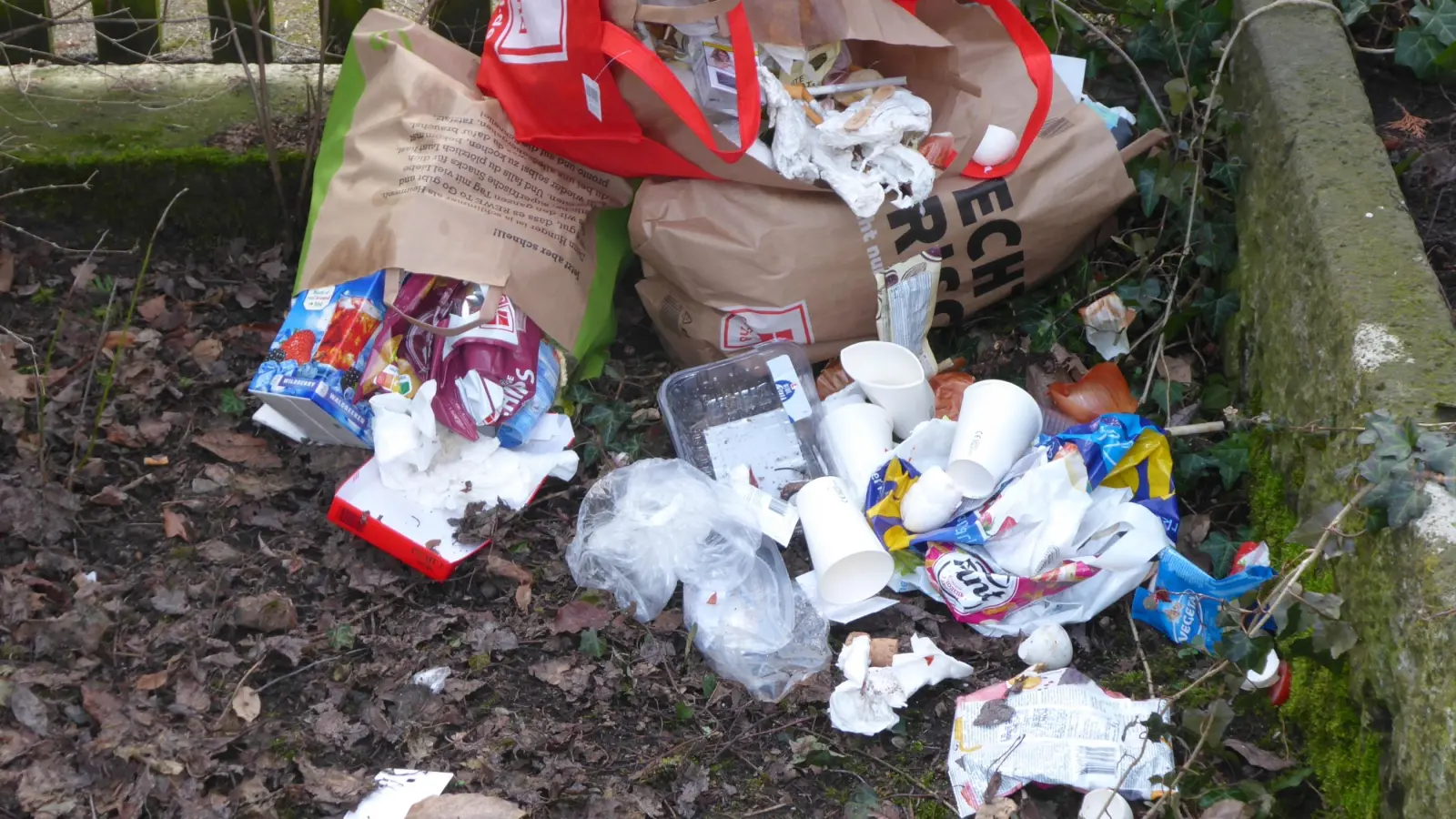 Zur wilden Müllkippe wurde dieses Eck eines Gartens in der Rothenburger Johannitergasse. Die Eigentümer sind noch immer fassungslos. (Foto: privat)