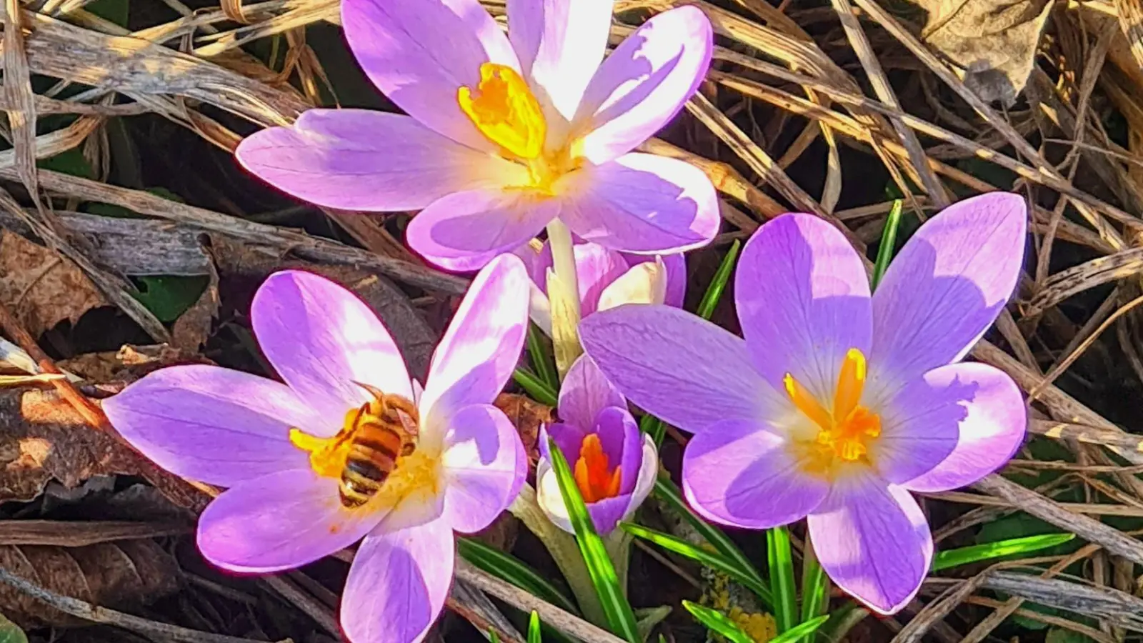 Punktlandung - gesehen in der Neustädter Multernschlucht (Foto: Uschi Wendel)