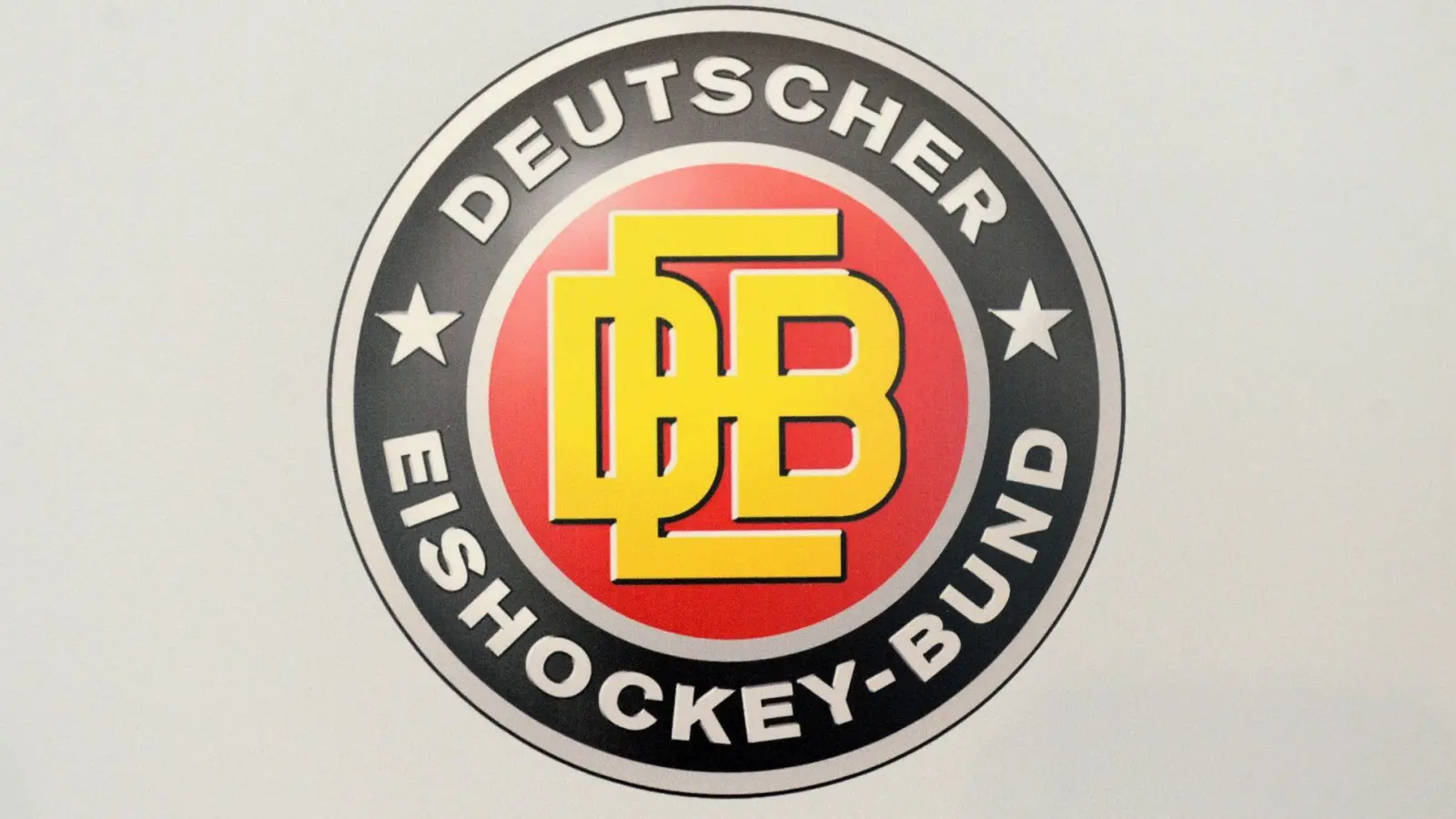 Der Deutsche Eishockey-Bund stellt in München seinen neuen Bundestrainer vor. (Archivbild) (Foto: Tobias Hase/dpa)