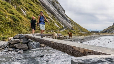 Führt auch durch Hochtäler mit Gebirgsbächen und Rindern: Die Senda Sursilvana ist ein abwechslungsreicher Alpin-Wanderweg. (Foto: Maximilian Gierl/Flims Laax/dpa-tmn)