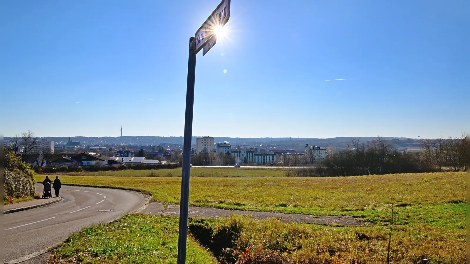 Auf dem Areal zwischen der Staatsstraße und dem Strüther Berg sollen 34 Reihenhäuser sowie ein Pflegeheim für etwa hundert Bewohner entstehen. Der Stadtrat hat bereits zugestimmt. Nun ist es an dem Investor, das Projekt umzusetzen. (Foto: Jim Albright)