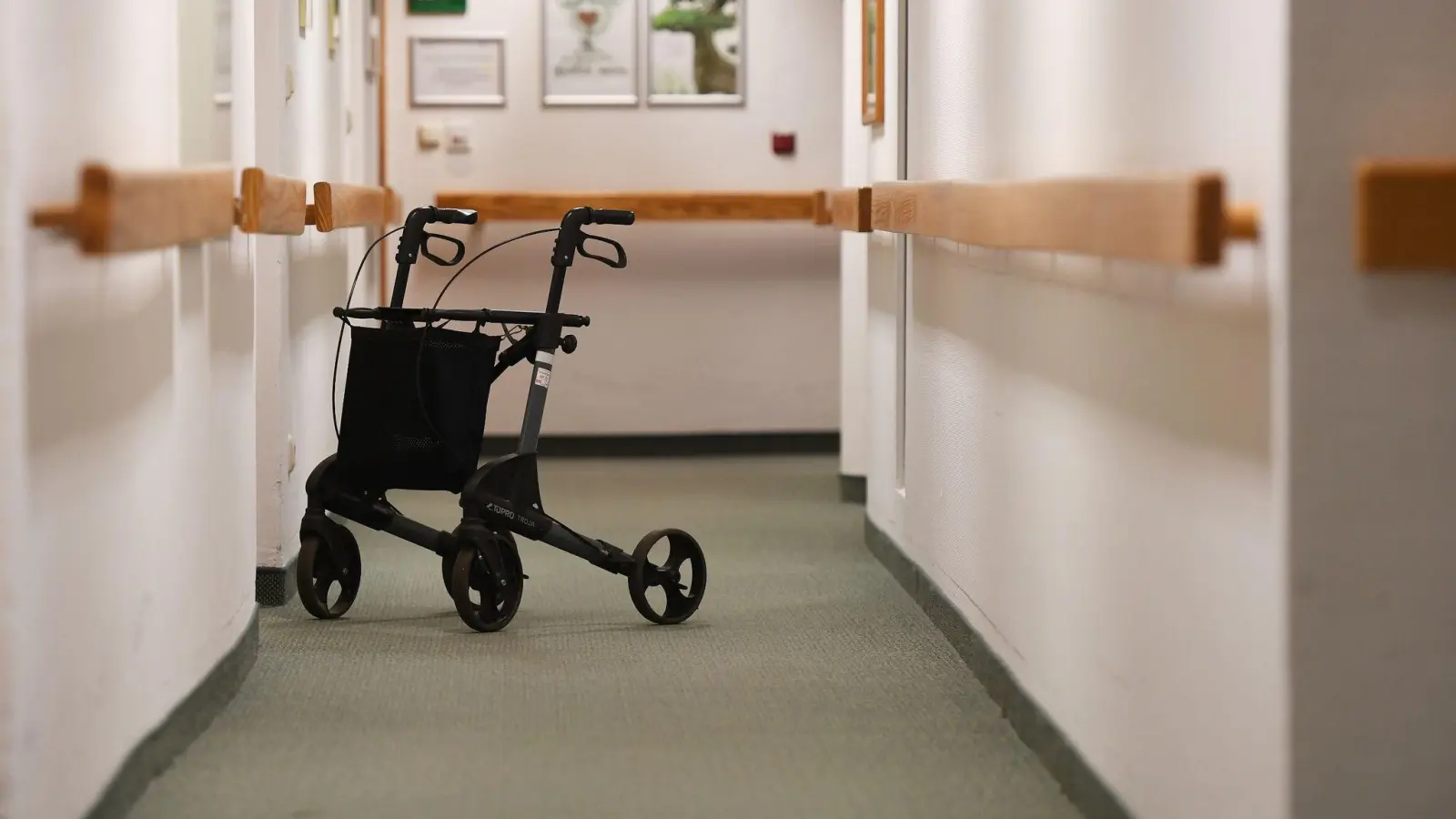 Mit seinem Rollator hat ein 74-Jähriger einen Mitbewohner beklaut. (Symbolbild: Angelika Warmuth/dpa)