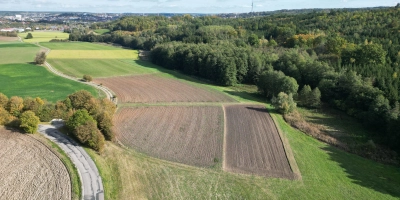 Im Ansbacher Westen um den Zeilberg befindet sich die größte zusammenhängende Fläche des Stadtwaldes. Für die Verantwortlichen in der Verwaltung ist dieser Bereich die grüne Lunge Ansbachs. (Foto: Stadt Ansbach/Jürgen Binder)
