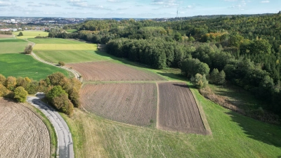 Im Ansbacher Westen um den Zeilberg befindet sich die größte zusammenhängende Fläche des Stadtwaldes. Für die Verantwortlichen in der Verwaltung ist dieser Bereich die grüne Lunge Ansbachs. (Foto: Stadt Ansbach/Jürgen Binder)