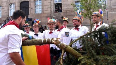 Ein bisschen fassungslos waren die Wilhermsdorfer Ortsburschen schon, als beim ersten Austellversuch die Spitze ihres Kerwabaumes abgebrochen war. (Foto: Gudrun Schwarz)