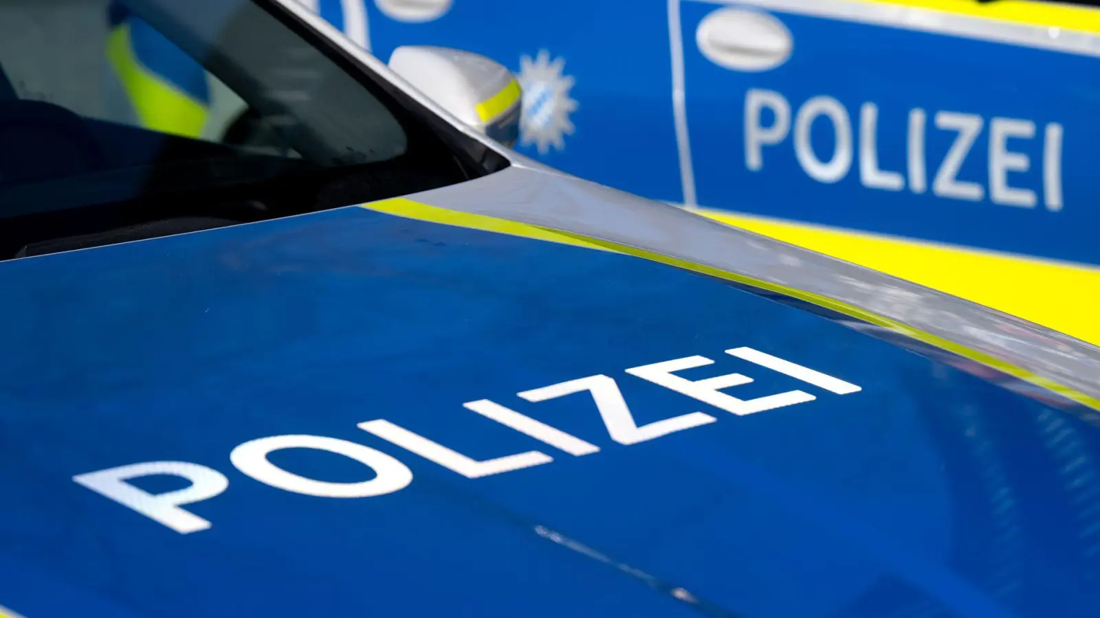 Die Polizei ist auf der Suche nach weiteren Zeugen. (Symbolbild) (Foto: Sven Hoppe/dpa)