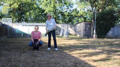Professorin Yvonne Leibnitz-Ponto (stehend) und Tierschutzvereins-Vorsitzende Eva Lindner freuen sich zusammen mit Leo auf das neue Hundehaus, das im hinteren Bereich des Tierheim-Areals gebaut werden soll. (Foto: Robert Maurer)