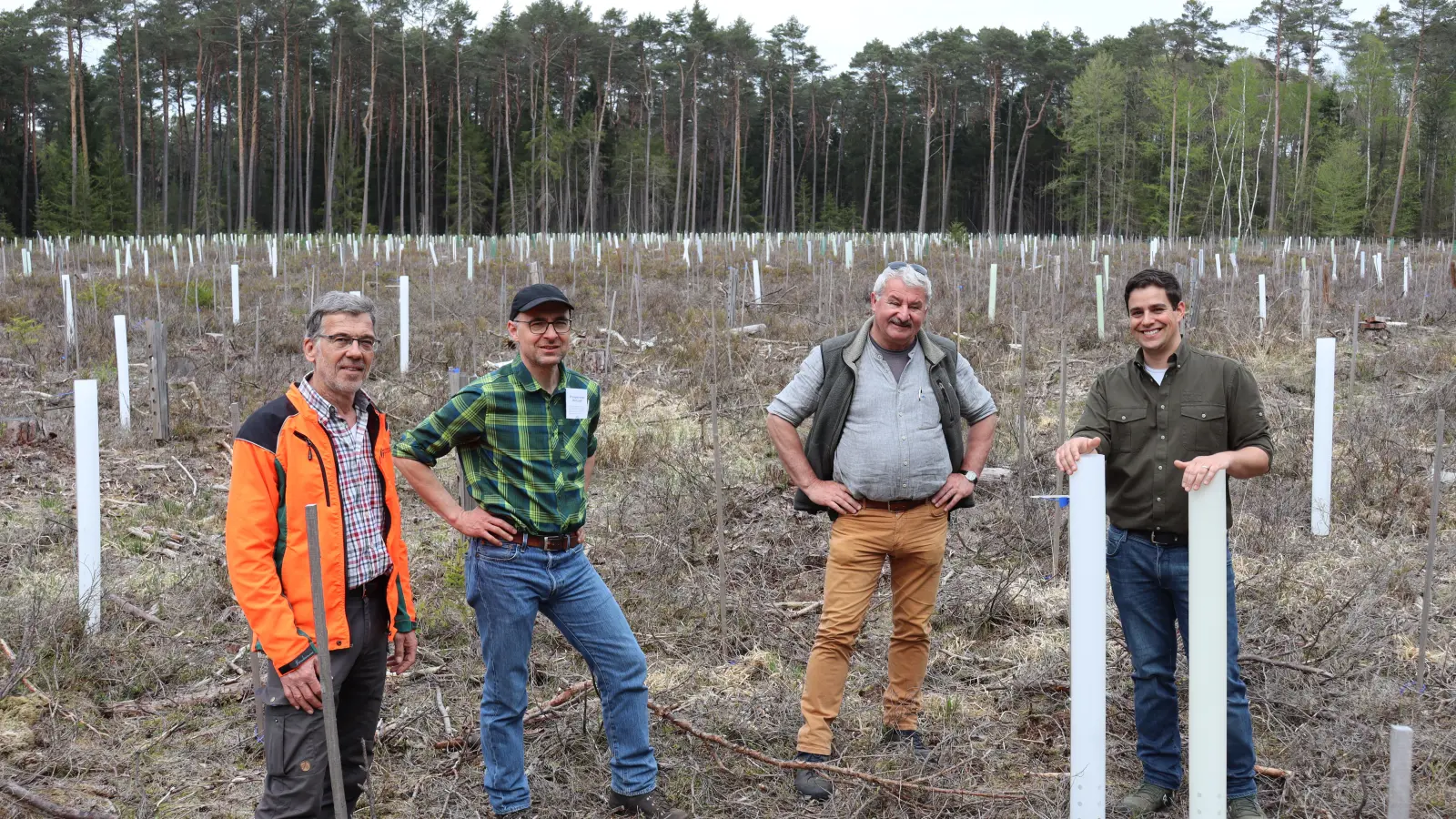 Forstbetriebsleiter Norbert Flierl, Professor Dr. Sebastian Hein, Waldbauexperte Norbert Wimmer und Johannes Maute von Arbotrade (von links) stellten auf der Versuchsfläche bei Bechhofen die im Wald abbaubaren Wuchshüllen aus biobasiertem Material vor. (Foto: Thomas Schaller)