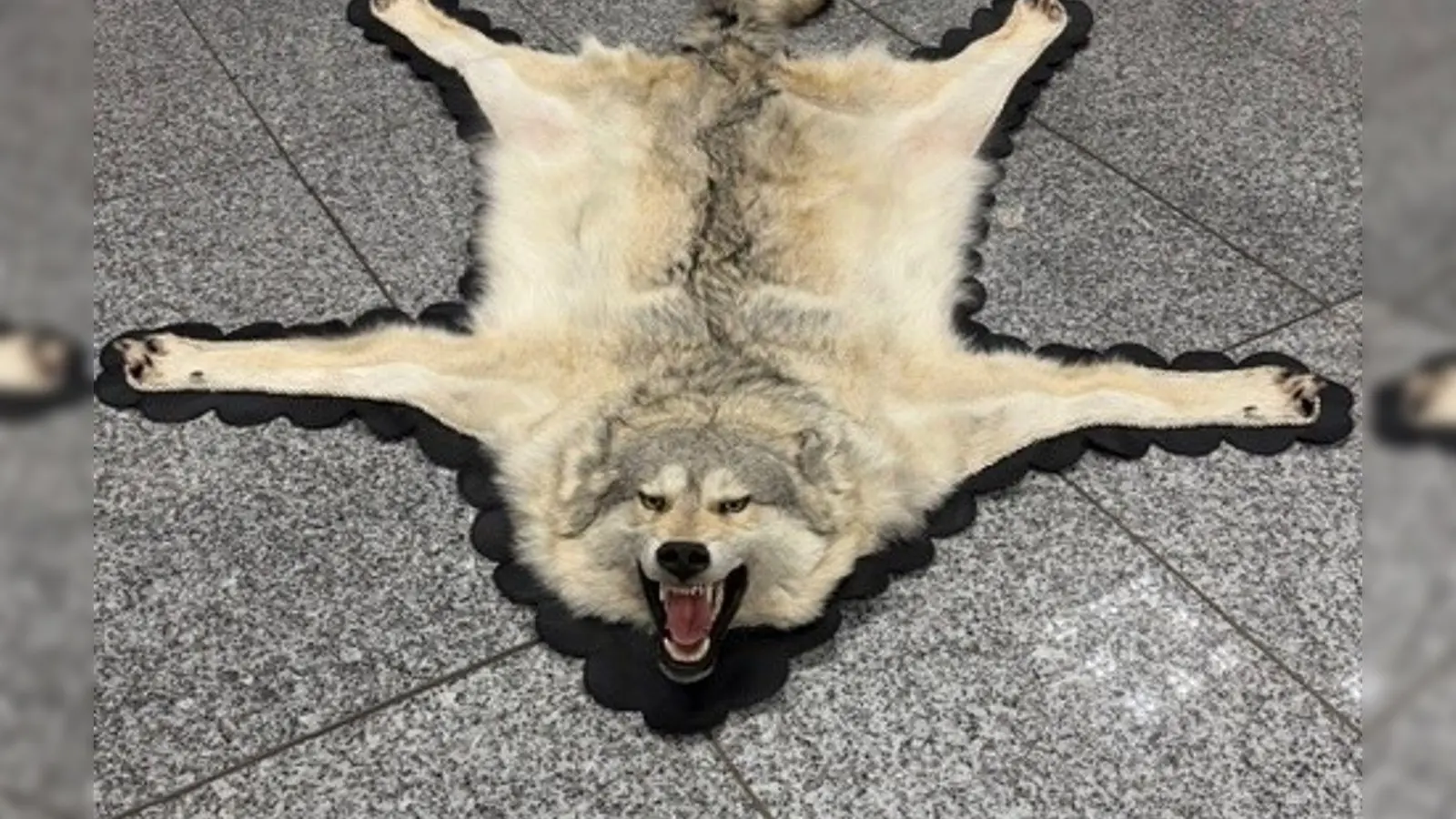 Der Zoll am Frankfurter Flughafen entdeckte ein Wolfsfell im Gepäck eines Reisenden. (Handout) (Foto: -/Zoll/dpa)