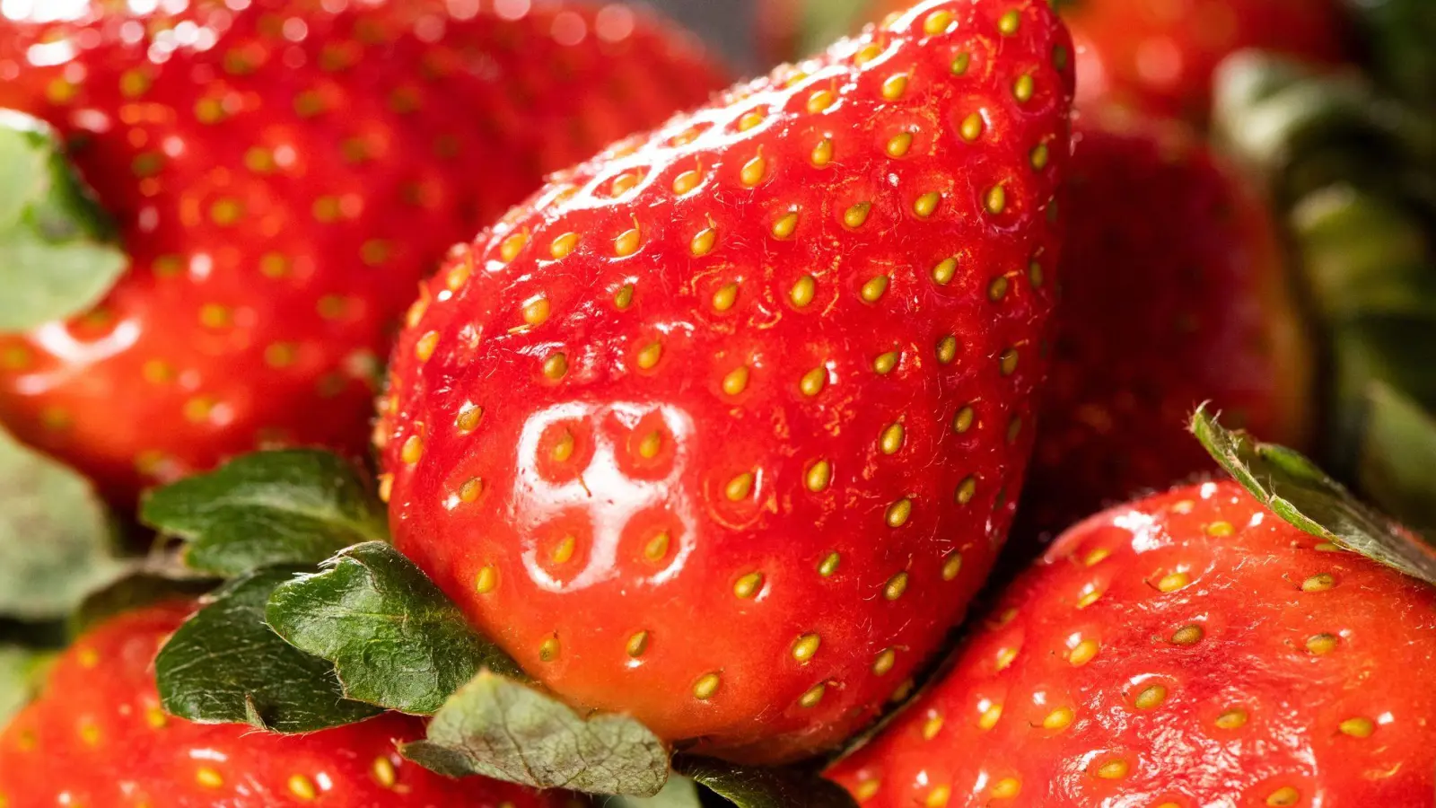 Bei frischen Beeren unterscheidet sich der Preis zwischen Bio- oder konventionellen Produkten deutlich.  (Foto: Franziska Gabbert/dpa-tmn)