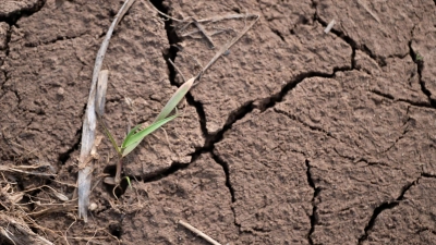 Das Jahr 2025 war in Bayern zu warm und zu trocken. (Symbolbild) (Foto: Pia Bayer/dpa)