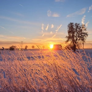 Magische Momente - gesehen zwischen Buch am Wald und Hürbel (Foto: Conny Schober)