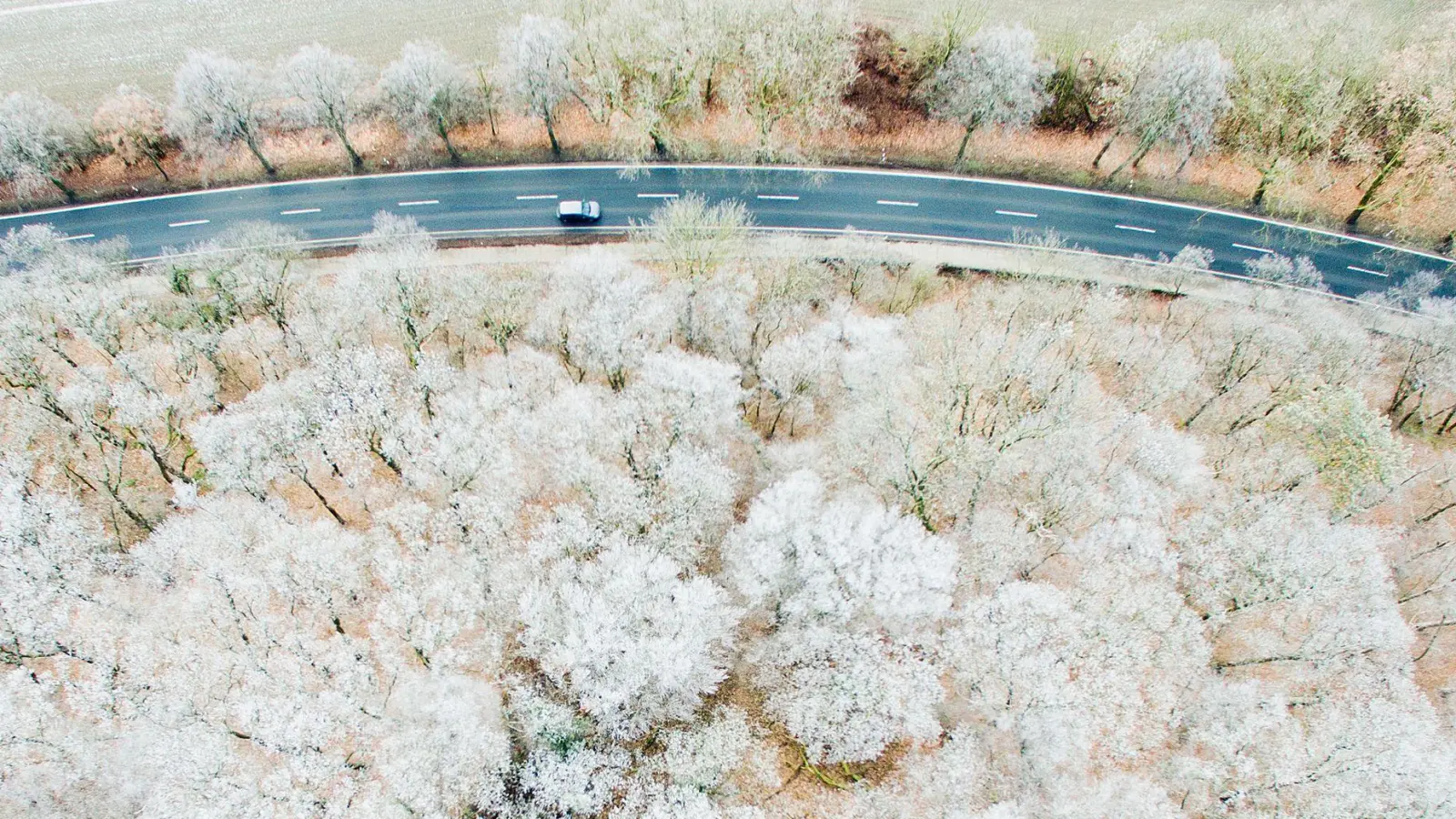 Plattes Land - kaum öffentlicher Nahverkehr: Kann ein im Außendienst Beschäftigter um ein Fahrverbot herumkommen? (Foto: Julian Stratenschulte/dpa/dpa-tmn)