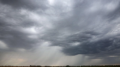 Eine Regenfront zieht über ein Getreidefeld hinweg. (Foto: Jan Woitas/dpa)