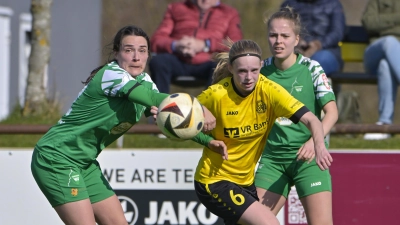 Schwer zu stoppen: Dana Keßler vom SV Weinberg (gelbes Trikot, hier im Spiel gegen Herrenberg) zeigte eine starke Leistung. (Foto: Martin Rügner)