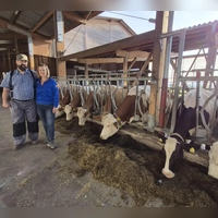 Andreas und Ewelina Zeller führen einen Milchviehbetrieb in Insingen. Normalerweise sollten ihre Kühe Ende August auf der Weide stehen. Doch normal ist in diesem Sommer nichts. (Foto: Margit Schwandt)