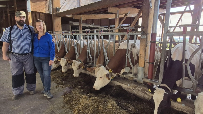 Andreas und Ewelina Zeller führen einen Milchviehbetrieb in Insingen. Normalerweise sollten ihre Kühe Ende August auf der Weide stehen. Doch normal ist in diesem Sommer nichts. (Foto: Margit Schwandt)