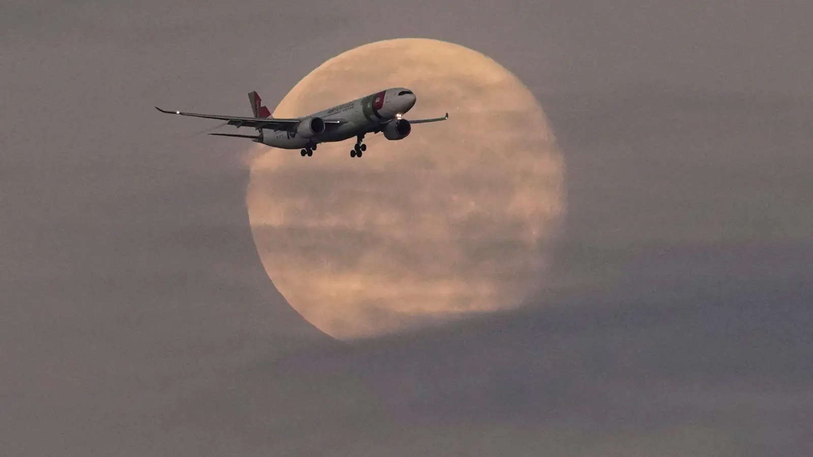 Die Lufthansa will bei der portugiesischen TAP einsteigen. (Foto: Armando Franca/AP/dpa)