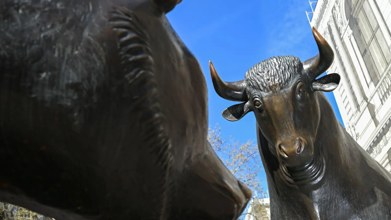 Börse in Frankfurt: Der Dax hat das beste Börsenjahr seit 2019 hingelegt (Archivbild) (Foto: Arne Dedert/dpa)