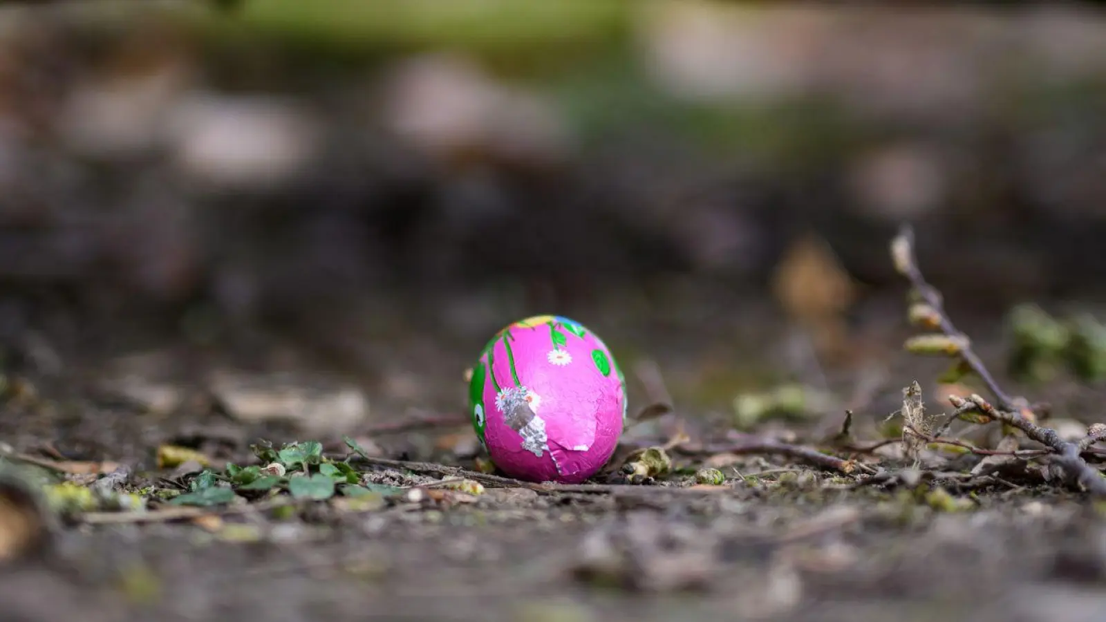 Drei Menschen kommen bei dem Unglück am Ostersonntag ums Leben. (Foto: Daniel Reinhardt/dpa)