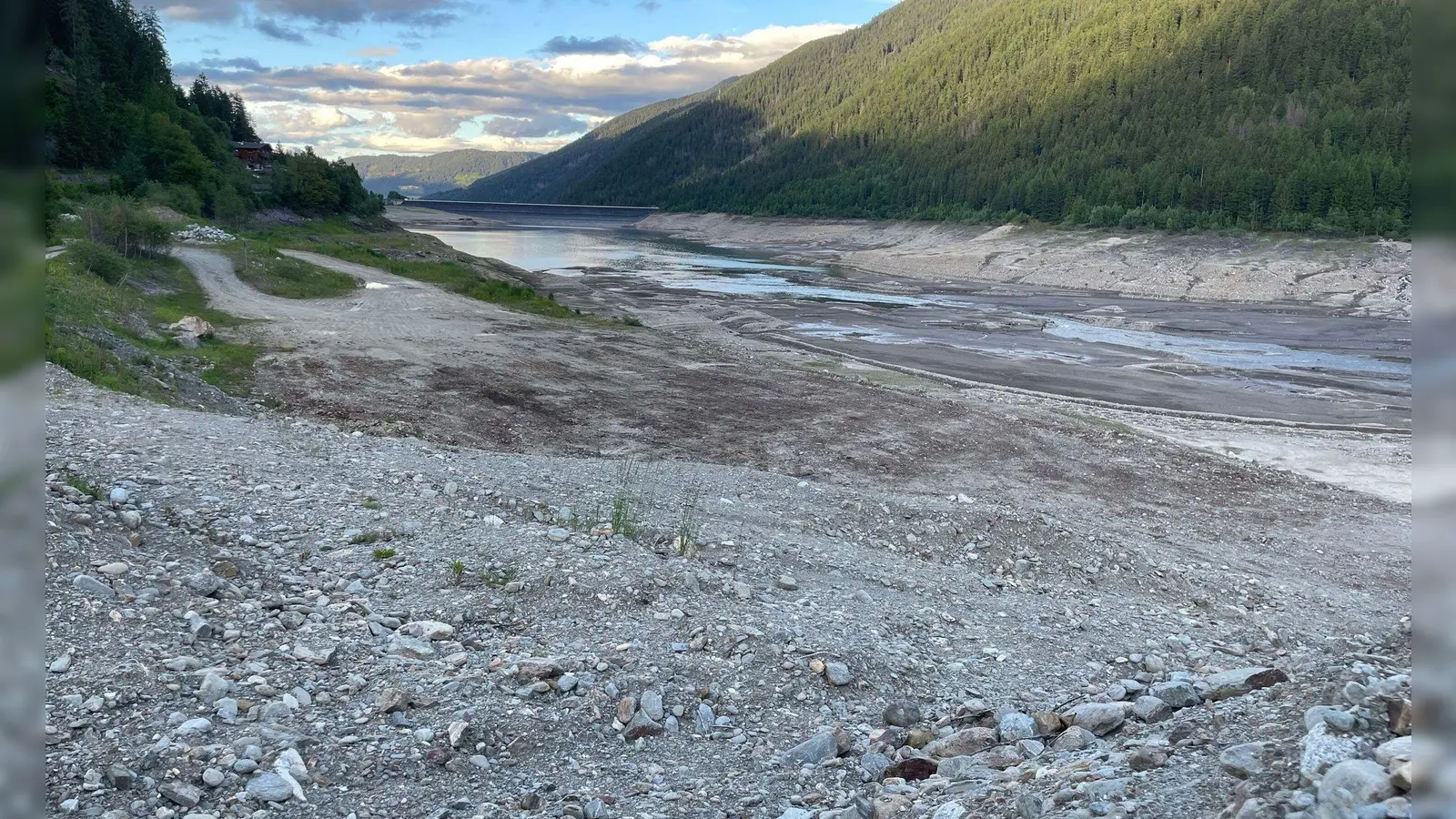 Wegen des massiven Wasserverlusts gibt es Sorgen um den Fischbestand. (Foto: Carmen Kollmann/LPA/dpa)