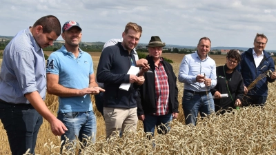 In Ottenhofen konnte vor dem Regen fast überall der Mähdrusch abgeschlossen werden. Nur hier blieb noch ein Rest stehen, weil der Mähdrescher den Geist aufgab. (Foto: Fritz Arnold)