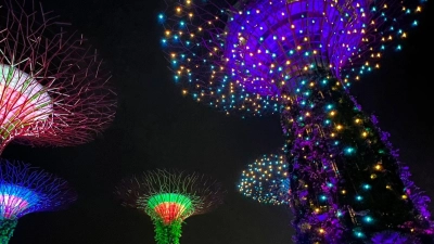 Die Supertrees in den Gardens by the Bay während der abendlichen Lichtshow. (Foto: Carola Frentzen/dpa)